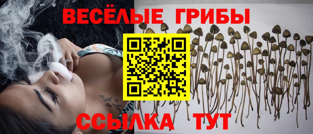 Надым  как найти закладки  Вход с VPN  Галлюциногенные грибы Psilocybe 
