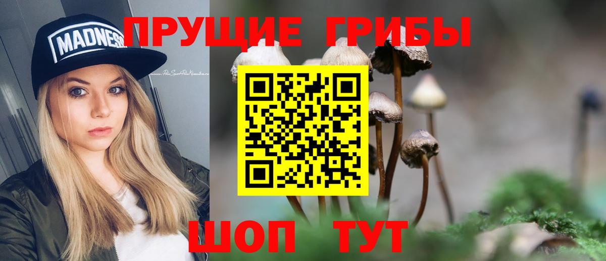 Псилоцибиновые грибы мицелий Надым